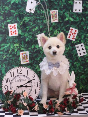 20250412しゅんくん